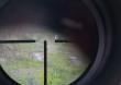 2 zajace i kot  , nie wiem o czym rozmawiali  nie pods�uchiwa�em  tylko zdjecie zrobi�em 