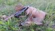 5-6 letni nieregularny sz�stak...