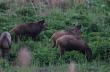 25-05-2015