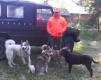 Dzikarze.pl- Karol i jego ,,go�cze,, :-) 