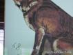 m�j lisek - s�up rogacza nie mam fotki, ale by�y 4x10 i 6