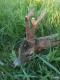 Masa na sucho 560 gram�w.