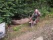 Byk strzelony dzi� rano. Imieninowy prezent