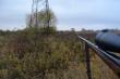 Pierwsze p�dzenie
