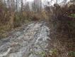 I zosta�o tylko b�otko ...