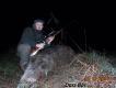 Kolejny dziczek strzelony  na polnym obwodzie 198...DB...Rajmund..