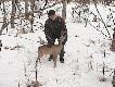 zima daje w ko��
Sobota 11.03.06 
Wybrali�my si� z tata oraz kolegami Micha�em i Jarkiem zapolowa� na lisy. Podczas podr�y na miejsce polowania na asfaltowej drodze mi�dzy polami zobaczyli�my stoj�cego jak s�up kozio�ka-nie chcia� zej�� nam z drogi. By� kompletnie wycie�czony i g�odny do tego stopnia �e nie reagowa� na otoczenie. Pola zasypane gruba warstw� �niegu nie pozwala�o na dotarcie do po�ywienia drobnym zwierzakom. Podeszli�my zobaczy� co si� z nim dzieje-zwierze sta�o nieruchomo mimo �e delikatnie dotykaj�c go sprawdzili�my czy nie jest po�amany. Kozio�ek z biegiem czasu zacz�� traci� r�wnowag�-mia� zachwiania b��dnika do tego stopnia �e kr�ci� si� w ko�o jak na karuzeli, upada� i ledwo wstawa�. Po kr�tkiej naradzie postanowili�my go zabra� do gospodarstwa i pom�c mu doj�� do siebie. Zwierze warzy�o max 10 kg . 
Zdj�cie tylko jedno i bardzo nie wyra�ne bo robione kamer� ( akcj� ratownicz� ;)uwieczni�em na filmie ).
Jeszcze nie wiem jak potoczy si� dalej jego historia ale mam nadziej� �e b�dzie dobrze-zwierz� odzyska si�y i wr�ci do swojego normalnego �rodowiska
