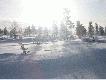 Lappland Safari
Kilka fotek z wyprawy do fi�skiej Laponii, 380 km za kr�g polarny, ca 220 km od Murma�ska. Data 19 - 21 marca 2006 roku. Temperatura: - 3 do - 8 C, s�aby wiaterek i s�oneczko. W wi�kszo�ci krajobrazy, niestety najbardziej emocjonuj�cych uj�� z przejazdu 80 km na �nieznym skuterze przez tundr� i po powierzchni zamarzni�tej rzeki nie da�o si� zrobi�. 