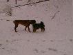 I znowu kumpel !