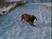 Gdzie ta mysz si� podzia�a !