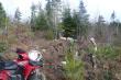 Nast�pne stanowisko