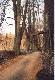 Fragmenty �owiska utrwalone w kadrze...
