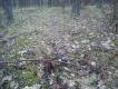 19,03,19r Po dwch dniach przerwy od podnoszenia jest kolejny wiey(21)