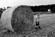  By� pi�kny lipcowy wiecz�r i pierwsza lekcja wabienia rogacza.