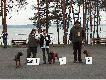 Fina� w klasie suka u�ytkowa
I miejsce Tercja Hazba II miejsce Gina Herbu Czarna Maska III miejsce Baja z Radomszcza�skiej Ziemi