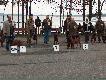 Klasa Champion�w I miejsce Figo Koguci Pazur