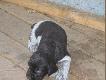 pierwsze niepewne kroki poza bud�