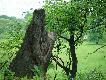 Fragment naroczyckiego ��gu
