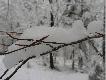 A tak to wygl�da�o w II dzie� Swi�t.