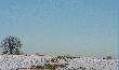 Stycze�