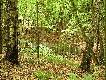 Rezerwat D�ugog�ry