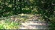 Evidence Of Autumn*
Dzisiaj zrobi�em sobie ma�� wycieczk� w poszukiwaniu oznak nadchodz�cej jesieni. No c�, by�y one do�� liczne, opr�cz zwi�kszonej chcicy na potrawy mi�sne - jak dla mnie typowy objaw nadchodz�cej zimnej pory roku :-). 
Cieszy�em si� pysznym wrze�niowym s�onkiem, wia� lekki wiaterek. Co chwil� by�o s�ycha� spadaj�ce z d�b�w �o��dzie, trafi�em na liczne buchtowiska. Buczyna jeszcze nie sypie, ale ga��zie a� uginaj� si� pod ci�arem buczynowych orzeszk�w. Oj b�dzie si� dzia�o . . .
* Tytu� galerii jest swobodnym nawi�zaniem do piosenki GENESIS z 1982 roku. jako stary zas�u�ony fan prog-rocka serdecznie polecam . . . 
