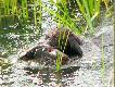 M�j pierwszy raz
