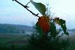 Pa�dziernik
. . . . . A tak wyskoczy�em sobie na dw�r i stwierdzi�em, �e jest �liczny pa�dziernikowy wczesnojesienny wiecz�r. Te fotki s� efektem tego wyskoku . . . No i po piwie by�em :-)