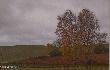 A tak to wygl�da�o "day after" Szaro, buro, z gonionym silnym wiatrem deszczem . . . 
