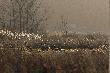 Grudniowe klimaty
10.12.2006 .Niedzielny wypad w �owisko :-) 
