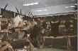WYSTAWA W OLE�NICY w MOSiR
Ole�nica 2006 wystawa trofea w MOSiR