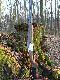 Bro�
Kniej�wka 7x57R i 12/70
