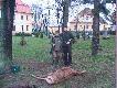 Dziekuje Tadys za bardzo mily weekend. Zapraszam ponownie