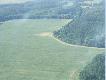 Panoramy mojego �owiska z lotu ptaka
Z uwagi na mo�liwo��  lot�w samolotem, b�d� szybowcem, podziwiam m�j obw�d �owiecki z powietrza. Pragn� podzieli� si� widokami w tej galerii. Zdj�cia przedstawiaj� okolice Kazimierza Biskupiego i Kleczewa w powiecie Koni�skim woj. Wielkopolskie.