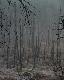 Uroczyska
Miejsca, kt�re s� bogate w r�ne ro�liny i zwierz�ta.