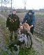 Auto-stop.....auto-stop.......dla lisk�w