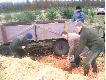 dokarmianie w wk� Orze� �winouj�ci
