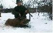 Hubert by� �askawy nie trzeba by�o d�ugo czeka� ( trzy dni ) i oto 12-ty "hrum, hrum" ;-)