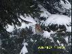 Pami�tajmy o ptakach !!! 