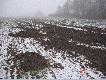 Kartoflane Warchlaki
W lutym 2007r bed�c na urlopie wybra�em sie na warchlaki kt�re szala�y watachami na kartoflisku przysypanym �niegiem.Na fotkach widac efekt ich dzia�ania i dwa z nich kt�re uda�o mi sie pozyskac