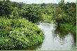 Narewka