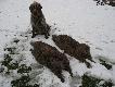 Przytrafi� si� te� dublet.