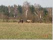 Przed sezonem
