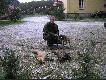 Lis i jenot strzelone w ci�gu jednej godziny na wab, 02.11.2006r. Lis wyceniony na 24,06 pkt CIC (br�zowy medal). Tego samego wieczora przywabi�em lisa du�o wi�kszego ale niestety strza� nie by� mozliwy ze wzgl�du na przeje�d�aj�c� akurat drog� masszyn�. Ro�nie do nastepnego sezonu:)