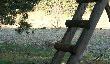 Dziki dla Aleja nowa edycja
No taaaaaak !
 Alej sobie mieszka na po�udniu.Ja gdzie� na p�nocy. Kiedy�  zaproponowa�em temu Nemrodowi polowanie na dzika ... bo ch�op nie dosy�  �e pod g�r� wsz�dzie  ma  to jeszcze psa ( suczk� Ogoniast� )  sobie sprawi� ... a pies jak to pies wieczorami s�ucha opowiada� o dzikach  ... ale �eby �ywego zobaczy� to raczej  marne szanse. A tu tymczasem  nowa edycja .. �wie�ute�kie  ..
Poszed�em  sobie raz do lasu ( bo nie mam czasu na wi�cej  ) ...bia�y dzie�  .. moje loszki  w komplecie : ot 5 du�ych i 3 przelatkowe.... Nawet do ambony nie mog�em doj�� .. pojad�y i pobiega�y w ko�cu co� je sp�oszy�o -  okaza�o sie �e rowem szed� mykita.... Ale jak taka ma�a przelatkowa zacz�a w kucki karmi� swego pasiaczka to ju� tylko zdj�cia robi�em . Ba�ka  kulk� cofn�a  w kiesze�  zurig ....Wszystkiego  drobiazgu by�o  te� ze 20-30 szt  , z tym �e wi�kszo�� z nich le�a�a w k�pie na �rodku .. nakr�ci�em te� filmik  z tym  �e   kiedy tak bieg�y wszystkie przez ��k�   zsun��em si� z kawa�ka deski na kt�rej siedzia�em i zfilmowa�em  nieeeebo ..... kto� ukrad� desk� z �awki .. stary zwyczaj .No c�  a dziki b�d� na p�niej ... jak zrobi� si�  o kilkana�cie kilo wi�ksze , li�� si� zesrebrzy  a potem poz�oci i przyjedzie   pewien Pan z  Ogoniast� ....