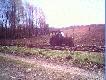 Prace na poletkach cd.
Jak w poprzedniej tydzie� temu przedstawianej galerii stwierdzi�em , w dn.21.04.2007r. w obwodzie 146 Sadzawka - planujemy  prace na 3 poletkach zaporowych . Tak te� si� sta�o . Do przeorania , posiania i zasadzenia mieli�my prawie 2 ha poletek  . Wysieli�my  600kg owsa , ton�  nawozu i 20 work�w topinamburu zebranego tydzie� wcze�niej . Frekwencja w�r�d koleg�w by�a du�a,  pogoda dopisa�a . Oto kilka fotografii z tego przedsi�wzi�cia . Zdj�cia nie najwy�szych lot�w - robione telefonem. Pozdrowienia i DB  