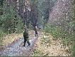 ze stanowiska