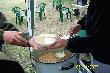A groch�wka by�a wspania�a.