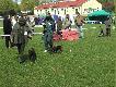  Ponowne chodzenie po ringu-Pola my�li sobie,kiedy b�dzie koniec!!!