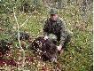 pierwszy dzik
strza� miedzy oczy 